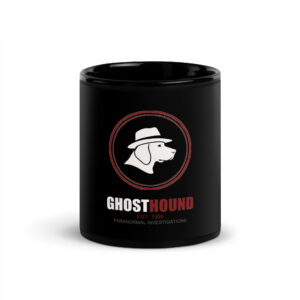 Black Glossy Mug